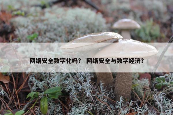 网络安全数字化吗? 网络安全与数字经济?