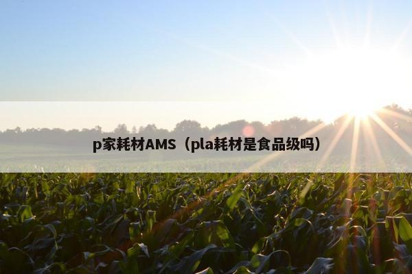 p家耗材AMS(pla耗材是食品级吗) p家耗材AMS(pla耗材是食品级吗)