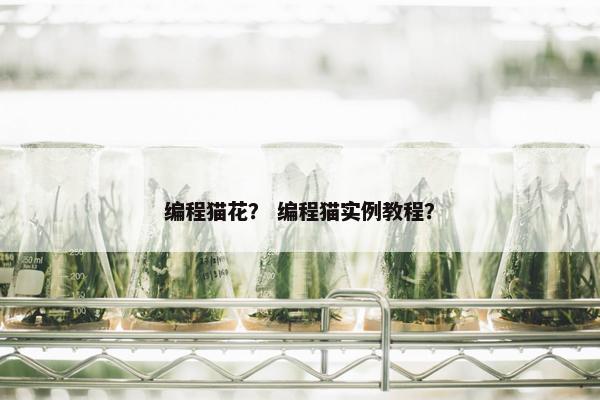 编程猫花？ 编程猫实例教程？