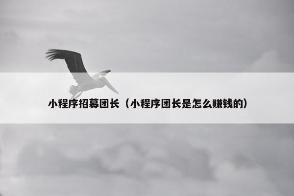 小程序招募团长(小程序团长是怎么赚钱的) 小程序招募团长(小程序团长是怎么赚钱的)