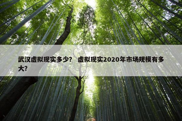 武汉虚拟现实多少? 虚拟现实2020年市场规模有多大?