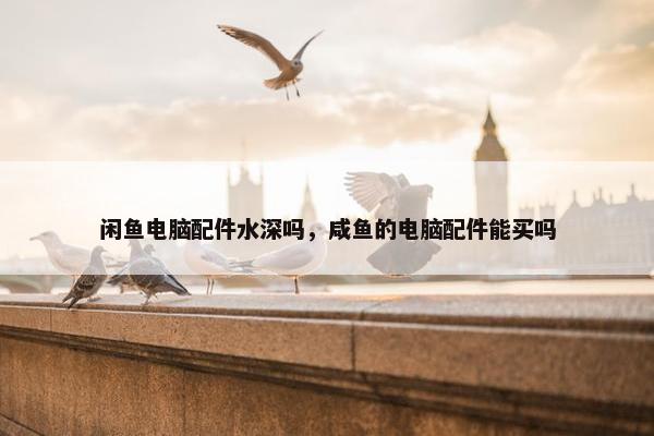 闲鱼电脑配件水深吗，咸鱼的电脑配件能买吗