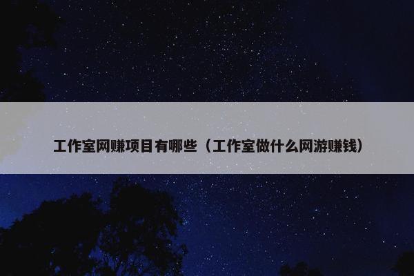 工作室网赚项目有哪些(工作室做什么网游赚钱)