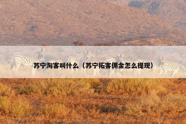 苏宁淘客叫什么(苏宁拓客佣金怎么提现) 苏宁淘客叫什么(苏宁拓客佣金怎么提现)