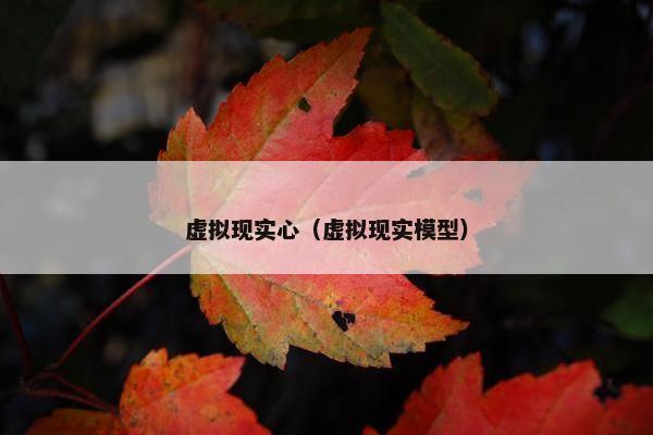 虚拟现实心（虚拟现实模型）