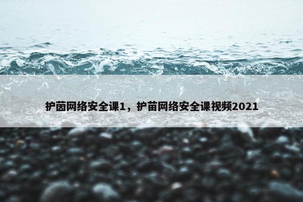 护茵网络安全课1,护苗网络安全课视频2021 护茵网络安全课1,护苗网络安全课视频2021