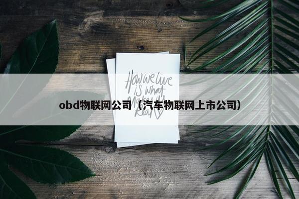 obd物联网公司(汽车物联网上市公司) obd物联网公司(汽车物联网上市公司)