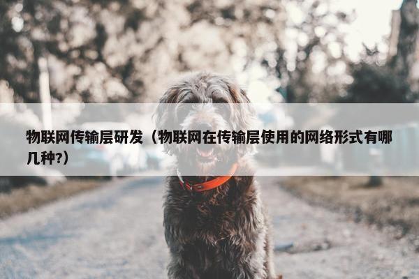 物联网传输层研发(物联网在传输层使用的网络形式有哪几种?)