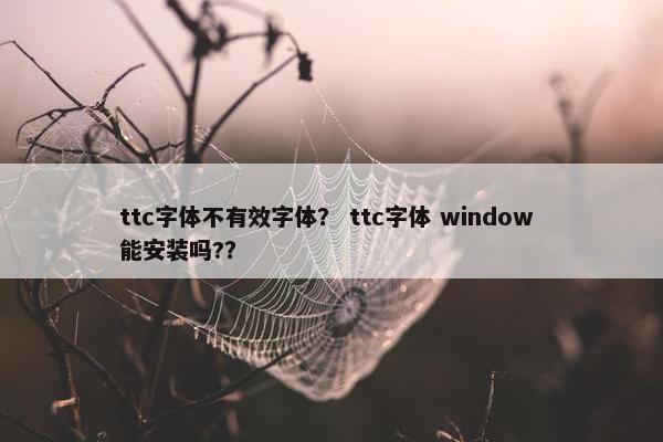 ttc字体不有效字体？ ttc字体 window 能安装吗?？