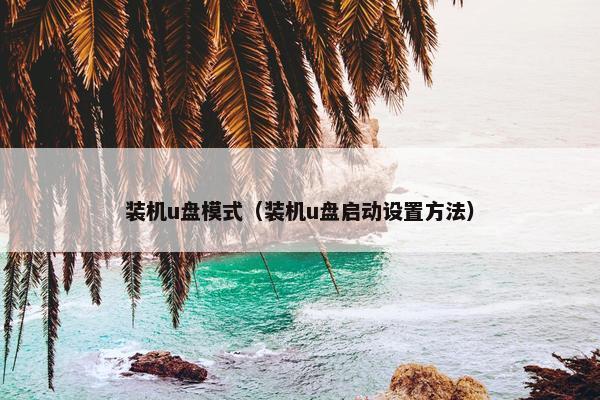 装机u盘模式(装机u盘启动设置方法)