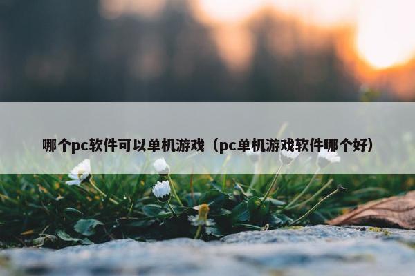 哪个pc软件可以单机游戏(pc单机游戏软件哪个好)