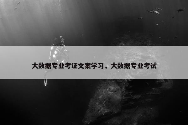大数据专业考证文案学习,大数据专业考试 大数据专业考证文案学习,大数据专业考试