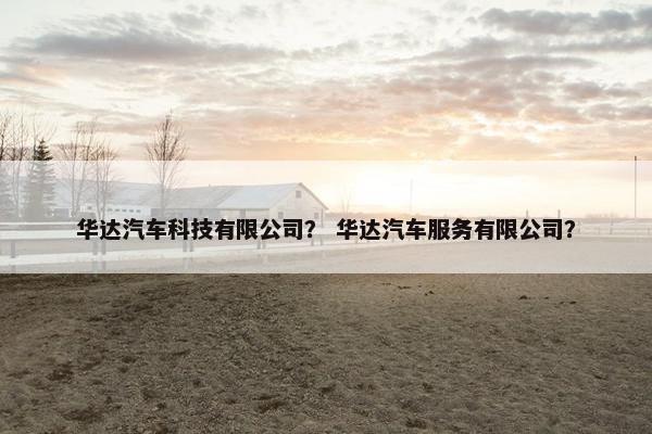 华达汽车科技有限公司? 华达汽车服务有限公司?