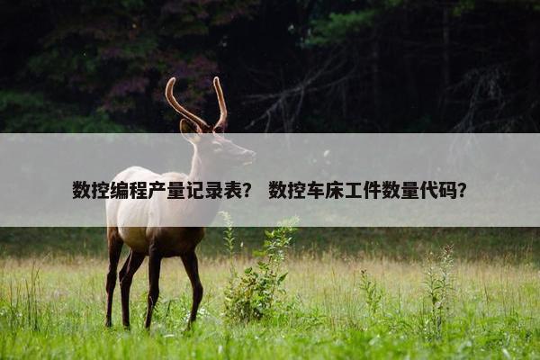 数控编程产量记录表? 数控车床工件数量代码?