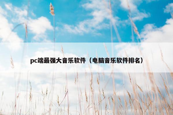 pc端最强大音乐软件（电脑音乐软件排名）