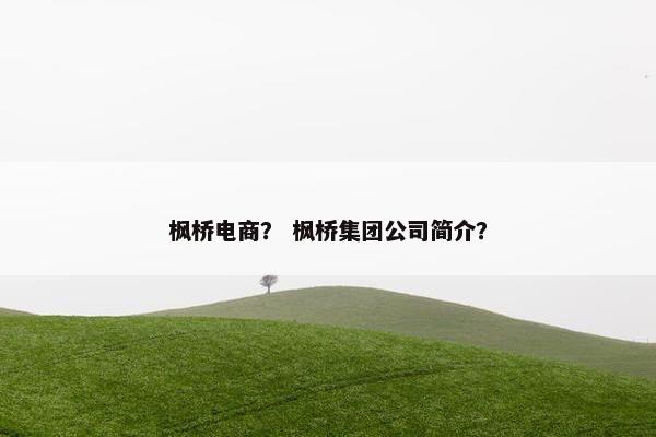 枫桥电商？ 枫桥集团公司简介？