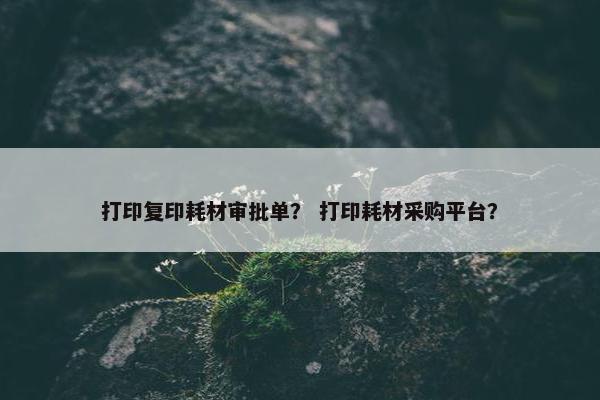 打印复印耗材审批单？ 打印耗材采购平台？