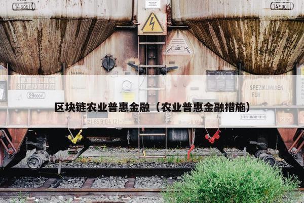 区块链农业普惠金融（农业普惠金融措施）