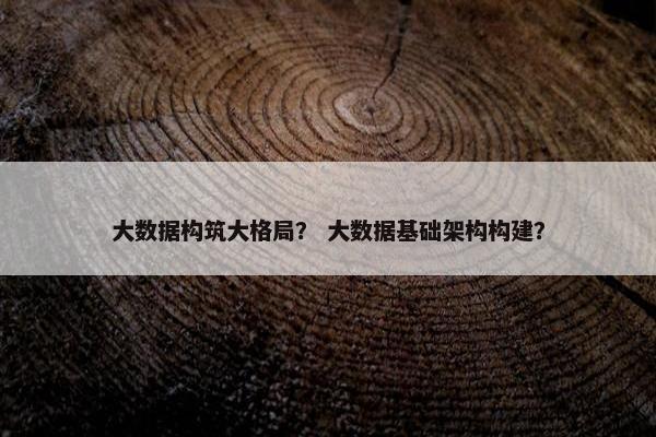 大数据构筑大格局? 大数据基础架构构建? 大数据构筑大格局? 大数据基础架构构建?