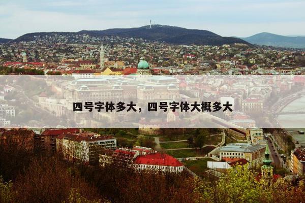 四号字体多大，四号字体大概多大