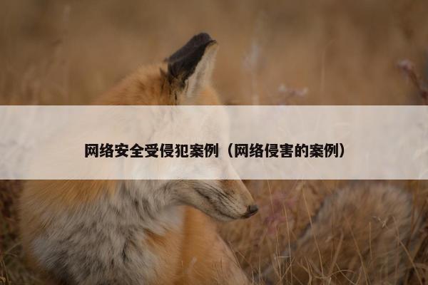 网络安全受侵犯案例（网络侵害的案例）