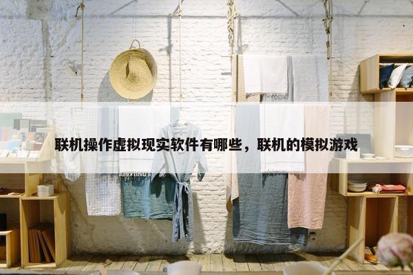 联机操作虚拟现实软件有哪些，联机的模拟游戏