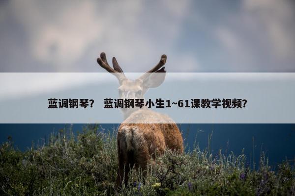 蓝调钢琴？ 蓝调钢琴小生1~61课教学视频？