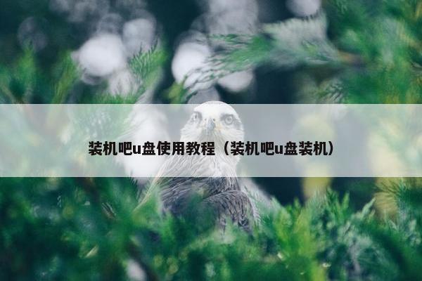 装机吧u盘使用教程(装机吧u盘装机)