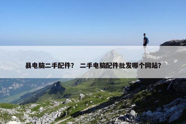 县电脑二手配件? 二手电脑配件批发哪个网站?