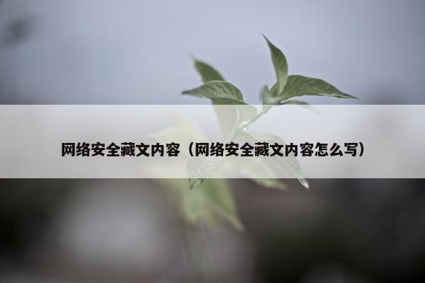 网络安全藏文内容（网络安全藏文内容怎么写）