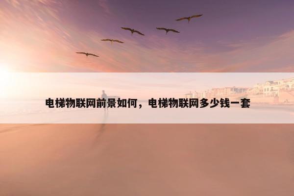 电梯物联网前景如何,电梯物联网多少钱一套