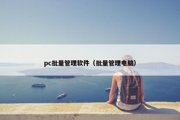 pc批量管理软件（批量管理电脑）