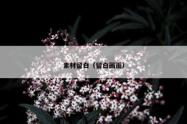 素材留白（留白画面）