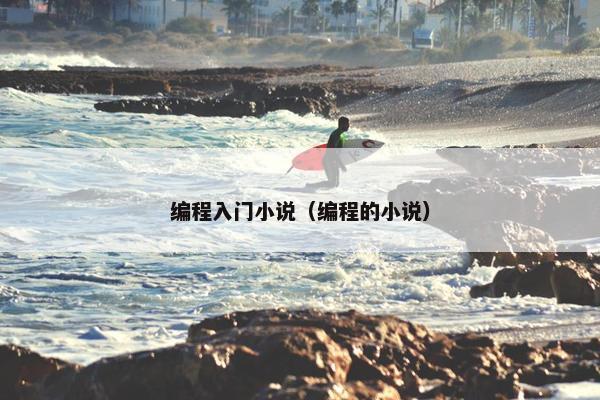 编程入门小说（编程的小说）