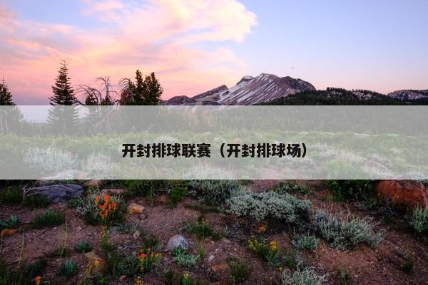 开封排球联赛（开封排球场）