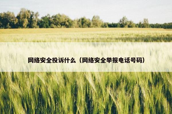 网络安全投诉什么（网络安全举报电话号码）