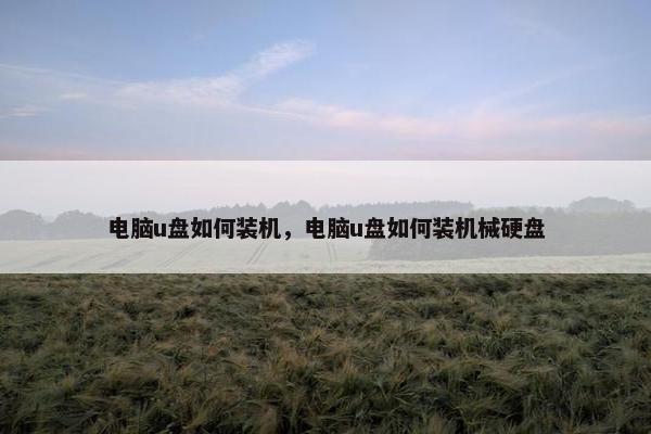 电脑u盘如何装机，电脑u盘如何装机械硬盘