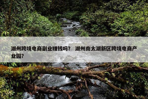 湖州跨境电商副业赚钱吗? 湖州南太湖新区跨境电商产业园?