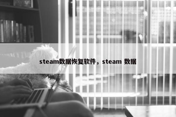 steam数据恢复软件，steam 数据