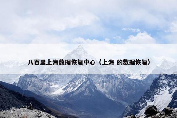 八百里上海数据恢复中心(上海 的数据恢复)