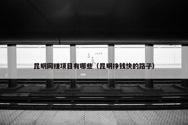 昆明网赚项目有哪些（昆明挣钱快的路子）