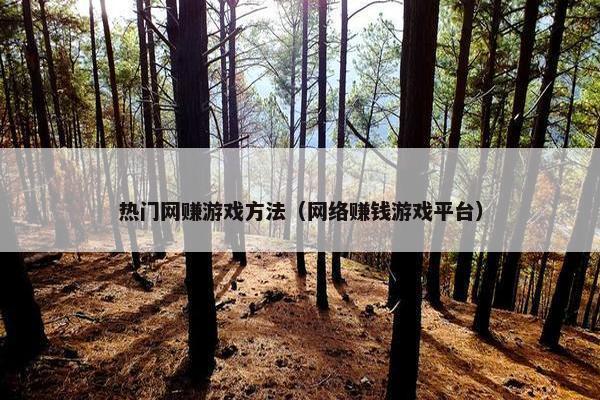 热门网赚游戏方法（网络赚钱游戏平台）