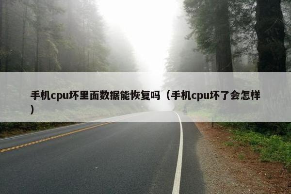 手机cpu坏里面数据能恢复吗(手机cpu坏了会怎样)