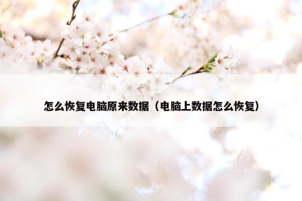 怎么恢复电脑原来数据(电脑上数据怎么恢复)
