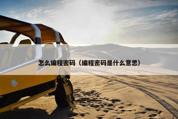 怎么编程密码（编程密码是什么意思）