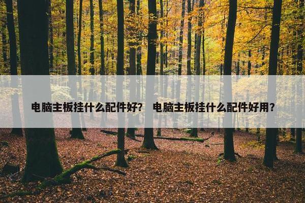 电脑主板挂什么配件好？ 电脑主板挂什么配件好用？