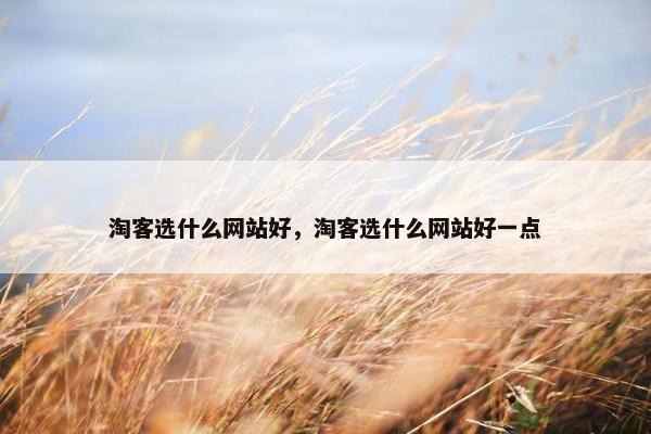 淘客选什么网站好,淘客选什么网站好一点