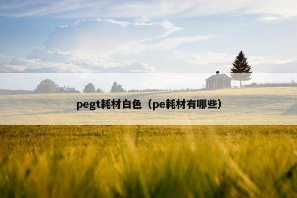 pegt耗材白色(pe耗材有哪些)