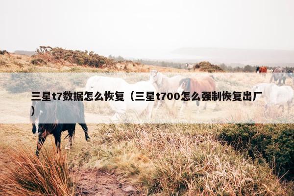三星t7数据怎么恢复(三星t700怎么强制恢复出厂)