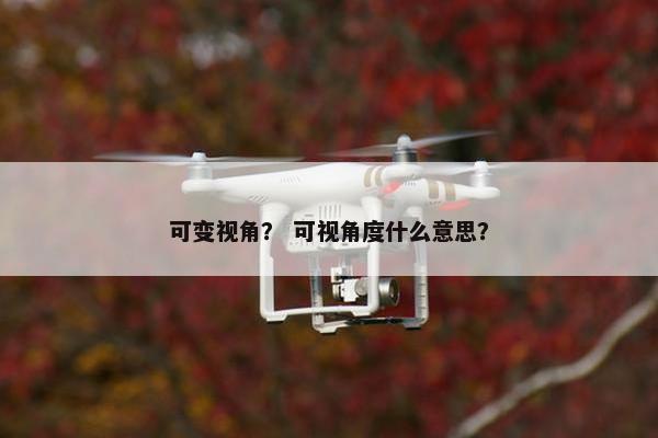 可变视角? 可视角度什么意思? 可变视角? 可视角度什么意思?